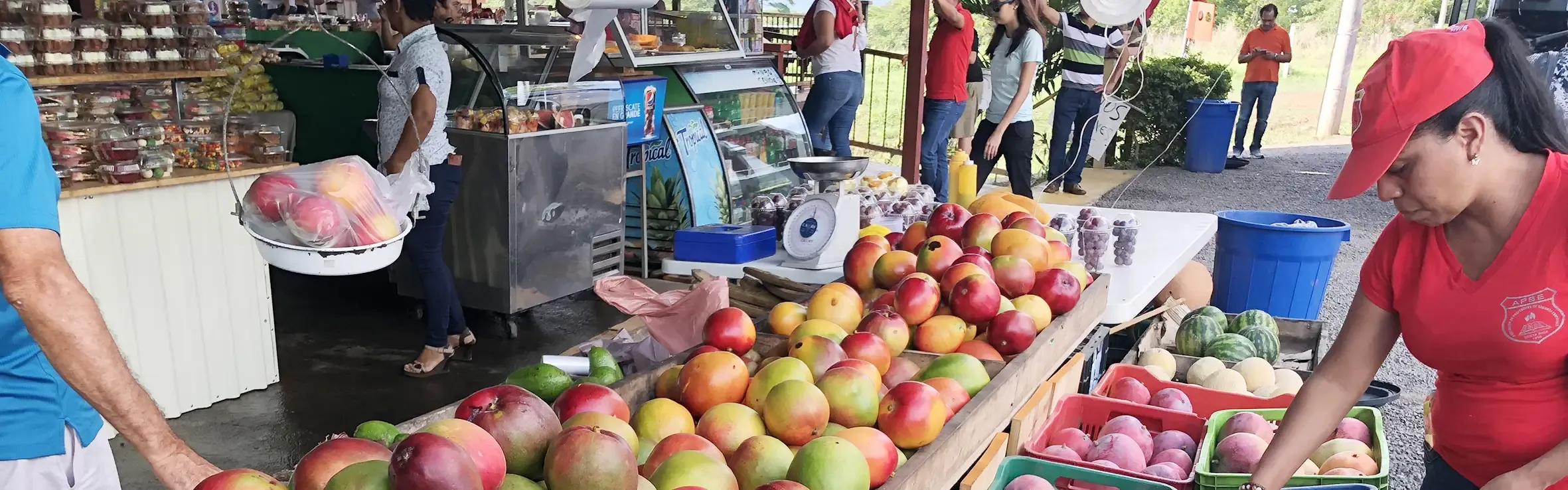 Kostarika- časopis ŽLUTÝ