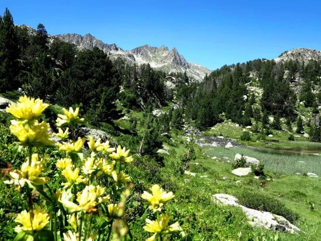 Národní parky Andorry a Pyrenejí