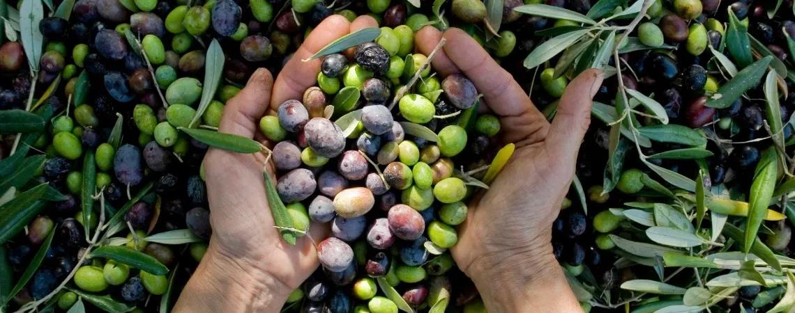 Spanelsko - DOVOLENA.CZ 