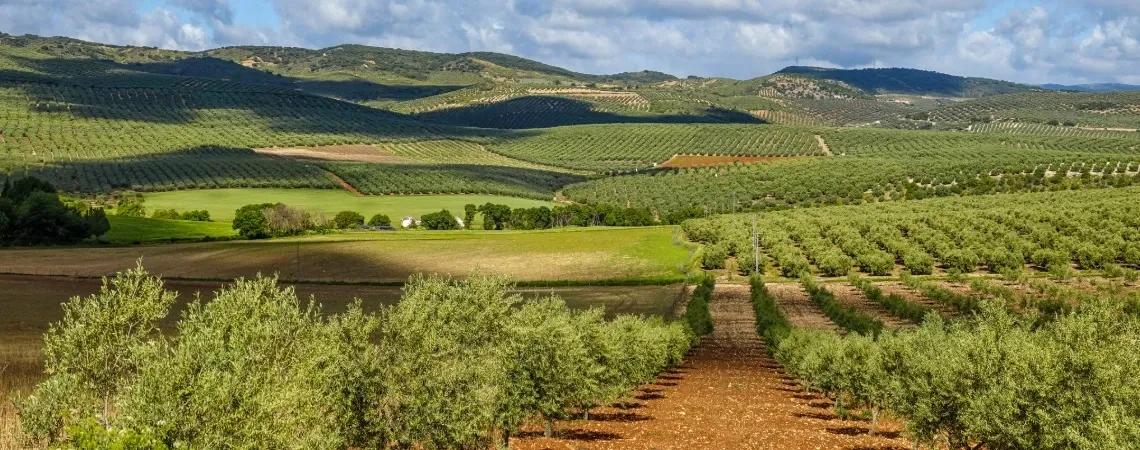 Spanelsko - DOVOLENA.CZ 