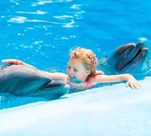 Nezapomenutelné plavání s delfíny