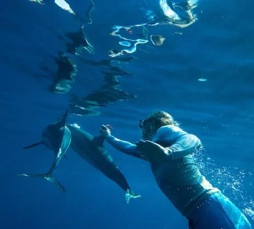 Nezapomenutelné plavání s delfíny