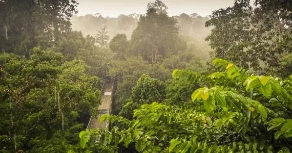 Borneo - DOVOLENA.CZ