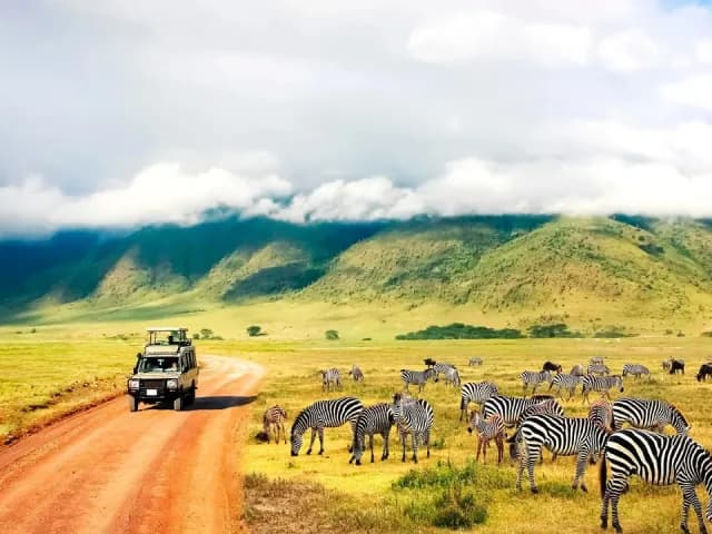 Divoká příroda Afriky