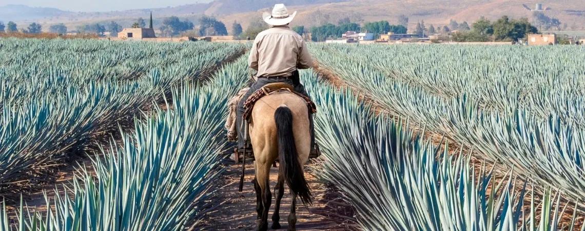 Mexiko - DOVOLENA.CZ