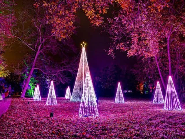 Kouzelný adventní čas - svět barevných světel a fantazie - Illumina