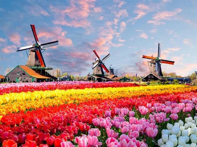 Květinový park Keukenhof a procházka Amsterdamem