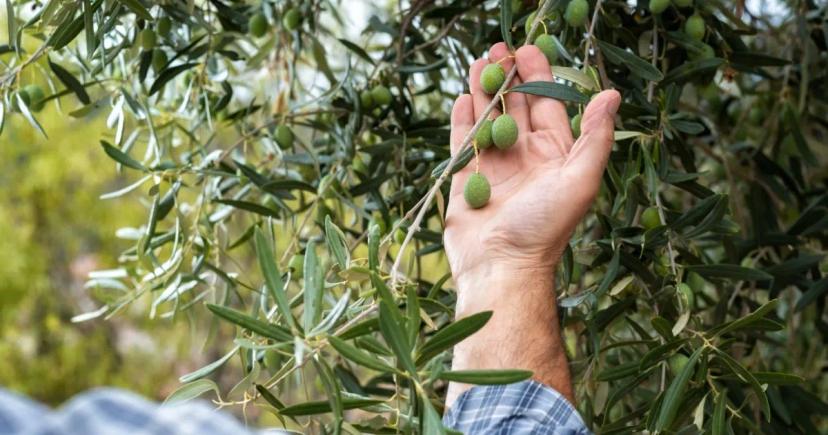 Řecko pod lupou: Překvapivé informace pro milovníky cestování