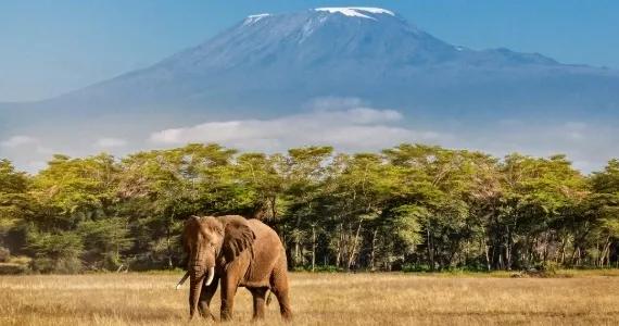 Tanzanie - DOVOLENA.CZ