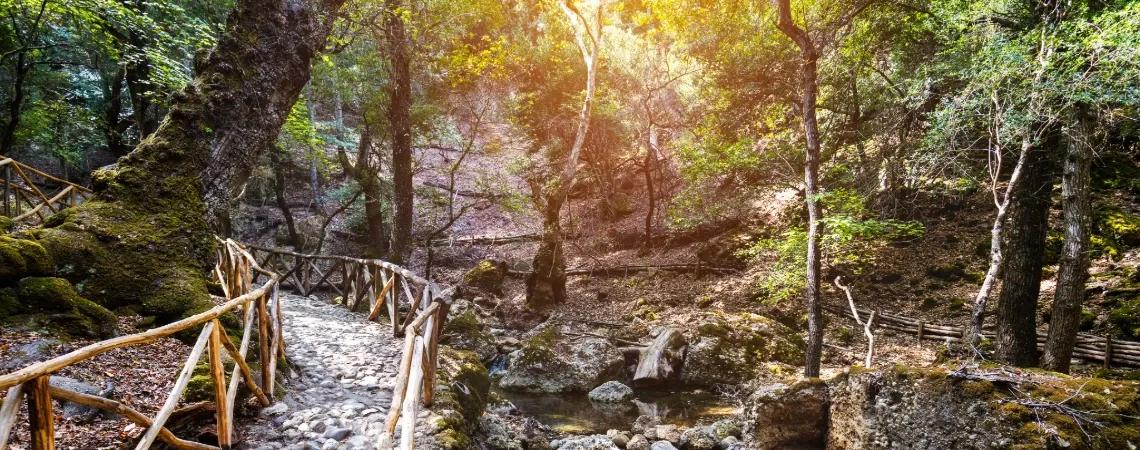 Rhodos - DOVOLENA.CZ